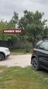 �������, ��. ����������