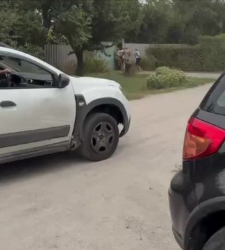 ����� ������, ��� ����� ������ ���������� � �������������� ����������� ���������, ���� ����� ������������ �����, ���� ��� �� �������