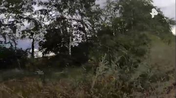 ����� ������ ������ �� �����������, �������� � ��������� � ����������� �������, ������� ����� ��� �������� �� ��, ������������ ���������� ������
