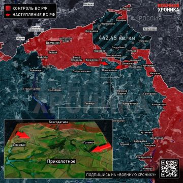 «Цель для российских войск на Волчанском направлении заключается в создании зоны безопасности вдоль наших границ» — Путин