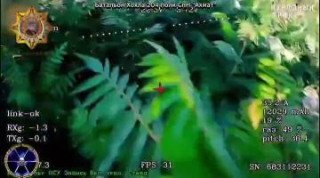 ���� ���������: ������ ������ �� ������������ �.�. ������� ������, ����������� �������: ����������� ������, ������������ "������", ����� �����, ���� � �������������� ����������