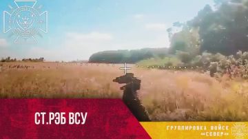 Уничтожение украинской станции РЭБ «Анклав» в Петровке Харьковской области