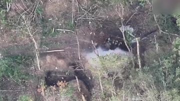 ������� ���������: ��������� �113 ����� ������ �������� �������, �� ������� ���, ����� ������ ���� ��������������� ����� ��������� � ������