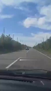 ������ �������: ������ �������� fpv-����� �� ���������� ���������� �������� �� ������ ���� � �������� � ������ ���� ��������