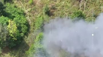 Оставили — значит потеряли