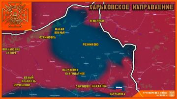 Российские войска освободили село Зарубинка!