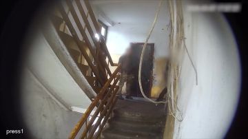 � �������� ���������� ��� ��������� � ����� ���, ������������� ���, ��������� ���������� � ������������� � � ������� ����� �� ������� ���������