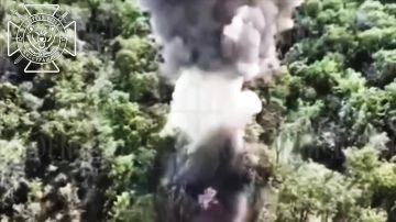 �������� �����: ����������� �������� �������� ������ ����������� ��� � ������ ������� ����������� �������