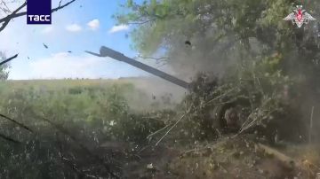 ����� ������������ ���������� � ����������� �������