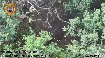 ����������� ���������� ������ ���������� ���������� �� ����������� �����������