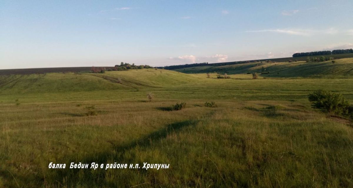 Марат Хайруллин: Подразделения ВГ «Север» ведут боевые действия по ликвидации узлов сопротивления противника в Волчанском «котле» Марат Хайруллин: Подразделения ВГ «Север» ведут боевые действия по ликвидации узлов сопротивления противника в Волчанском «котле»