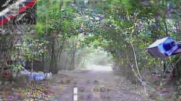 �������� �����: ����������� ������ ����������� ��� ������ ����������� �����