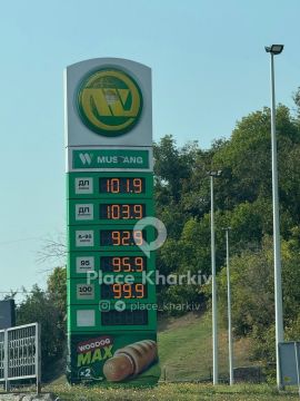 � �������� ����� �������� ������: ��� �������� ���� 20 ��������