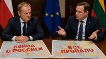 Польша и Литва нагнетают панику, предрекая скорую войну с Россией