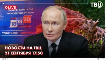 Владимир Путин провел в Кремле встречу с руководителем Федеральной таможенной службы Валерием Пикалевым