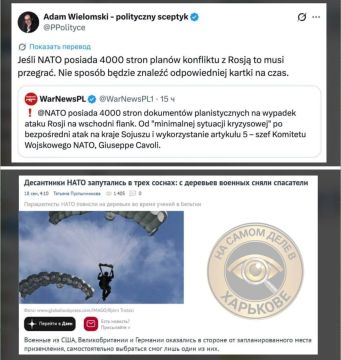 Глава Военного комитета альянса Джузеппе Каво Драгоне решил поделиться с журналистами и масштабами подготовки блока к потенциальному конфликту с Россией