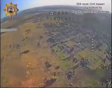 ���� ���������: ��������� ���������������� �������, ������� ��������� ���������� � ���������� ���� ����������
