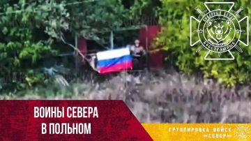 Российские флаги в н.п. Польная Харьковской области