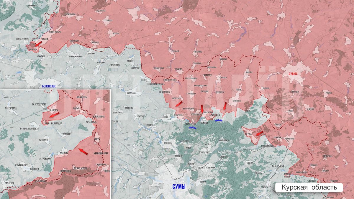 Олег Царёв: Фронтовая сводка 23 сентября Олег Царёв: Фронтовая сводка 23 сентября