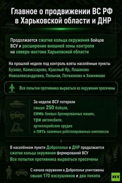 С начала окружения ВСУ на северо-востоке Харьковской области освобождены 212 кв. км территории и 12 населённых пунктов