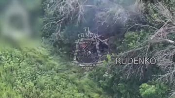 ������ �������: ����� ������ ������ �������������� ����������� ����� ������ �� ������������ �������� ��� ��������� ������� ������� � ����������� �������