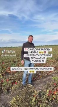 �������� ����� � �����. ���������� �������� � ������������ ������� ������ ������� ������
