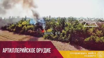 Уничтожение украинской САУ 2С1 в районе Малого Бурлука Харьковской области