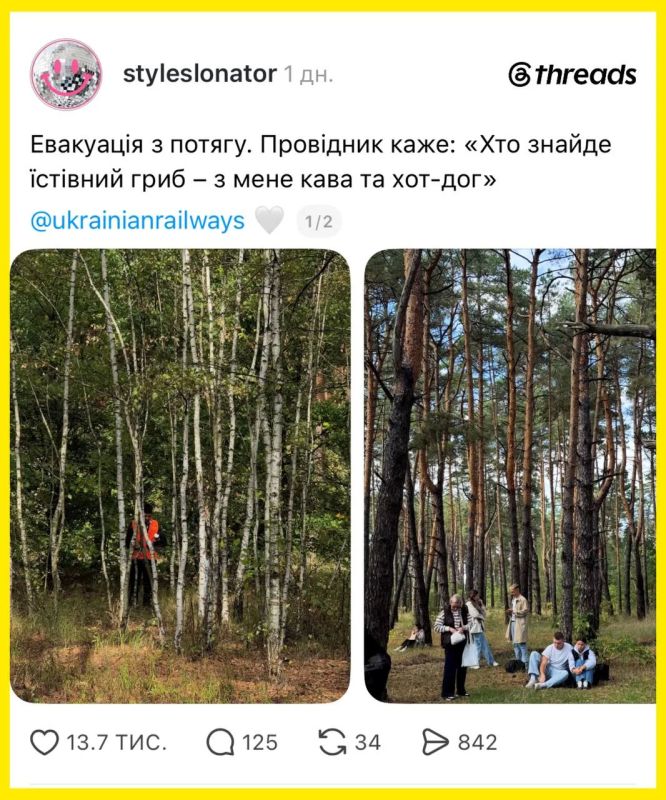 Целый поезд украинцев во время эвакуации отправили собирать грибы