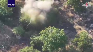 ВС РФ освободили Шабельное в Харьковской области, Толстодубово в Сумской области и Егоровку в Запорожской области, сообщает МО