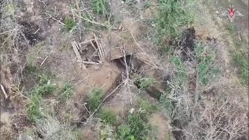 Минобороны опубликовало кадры освобождения Егоровки в Запорожской области, а также установления контроля над Шабельным в Харьковской и Толстодубовым в Сумской