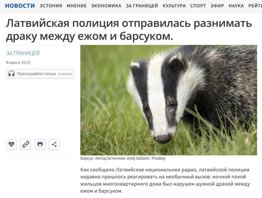 Больше копов никто не видел