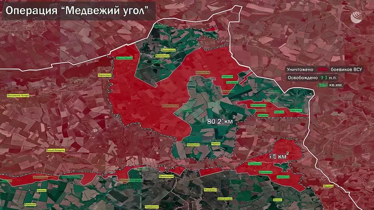 Минобороны показало инфографику уничтожения сил ВСУ в Харьковской области в ходе операции «Медвежий угол»